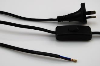 Lead Plug & Switch 2 Core 