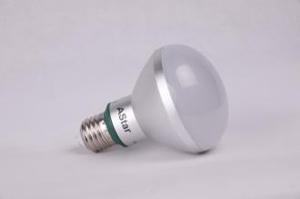 R80 12W LED ES W/W Lamp